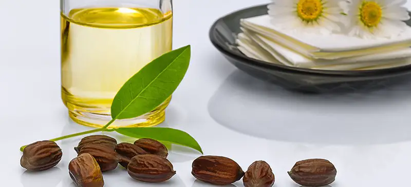 How to use Jojoba oil as a facial cleanser?