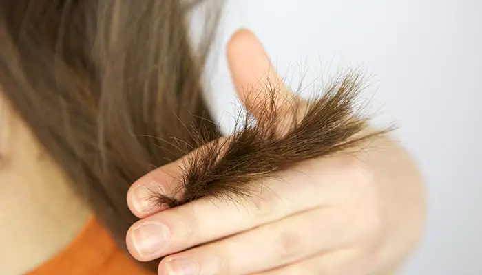 What causes dead ends in hair?