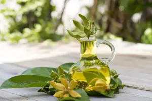 How to Use Ylang Ylang Oil for Hair Growth?