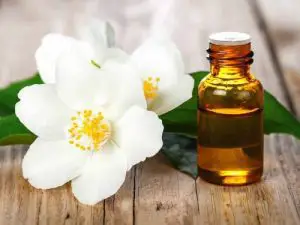Is Jasmine Oil good for skin?